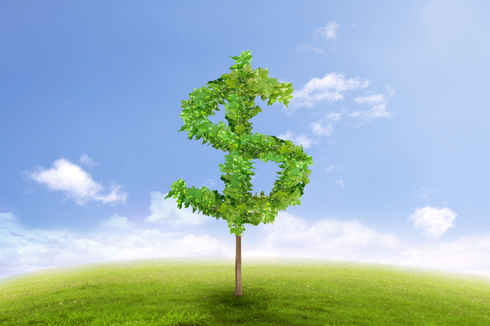 MMoney tree growing prosperity and investments